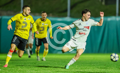 Allerheiligen vs. Eggendorf Hartberg Amateure