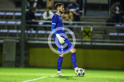 Allerheiligen vs. Eggendorf Hartberg Amateure