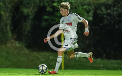 Allerheiligen vs. Eggendorf Hartberg Amateure