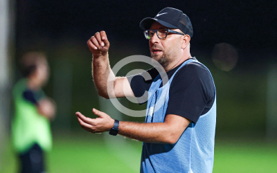 Grossklein vs. Bad Waltersdorf