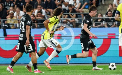 Sturm Graz vs. Fenerbahce Istanbul