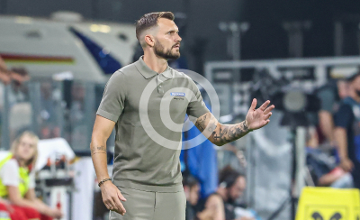 Sturm Graz vs. Fenerbahce Istanbul