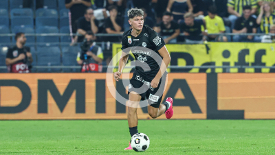 Sturm Graz vs. Fenerbahce Istanbul