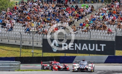 Eurpean Le Mans Series