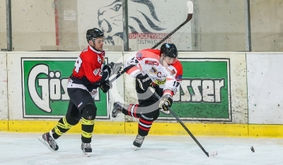EV Zeltweg vs. Bulls Weiz
