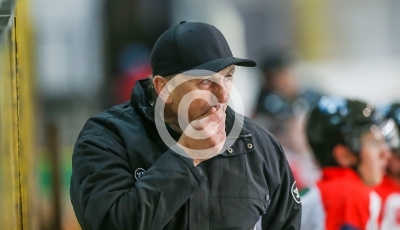 EV Zeltweg vs. Bulls Weiz