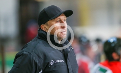 EV Zeltweg vs. Bulls Weiz