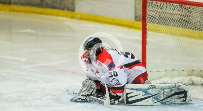 EV Zeltweg vs. Bulls Weiz