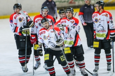 EV Zeltweg vs. Bulls Weiz
