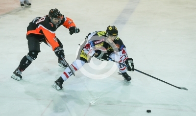 EV Zeltweg vs. Rattlesnakes Graz