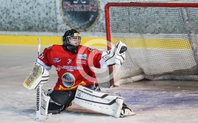 HC Steelers Kapfenberg vs. HC Jesenice