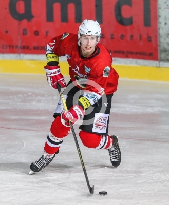 HC Steelers Kapfenberg vs. HC Jesenice