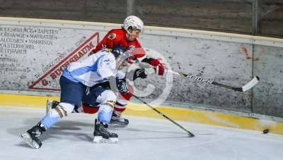 HC Steelers Kapfenberg vs. HK Triglav Kranj