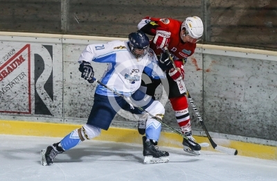 HC Steelers Kapfenberg vs. HK Triglav Kranj