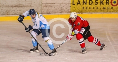 HC Steelers Kapfenberg vs. HK Triglav Kranj