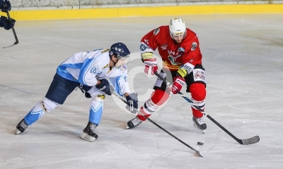 HC Steelers Kapfenberg vs. HK Triglav Kranj