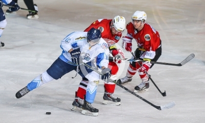 HC Steelers Kapfenberg vs. HK Triglav Kranj