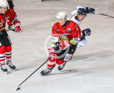 HC Steelers Kapfenberg vs. HK Triglav Kranj