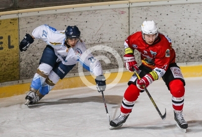 HC Steelers Kapfenberg vs. HK Triglav Kranj