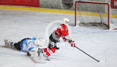 HC Steelers Kapfenberg vs. HK Triglav Kranj