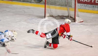 HC Steelers Kapfenberg vs. HK Triglav Kranj