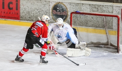 HC Steelers Kapfenberg vs. HK Triglav Kranj