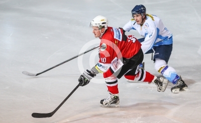 HC Steelers Kapfenberg vs. HK Triglav Kranj