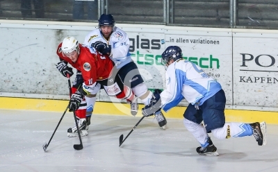 HC Steelers Kapfenberg vs. HK Triglav Kranj