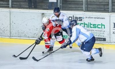 HC Steelers Kapfenberg vs. HK Triglav Kranj