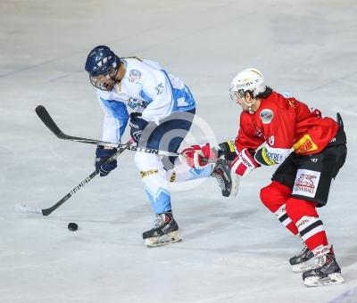 HC Steelers Kapfenberg vs. HK Triglav Kranj