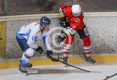 HC Steelers Kapfenberg vs. HK Triglav Kranj