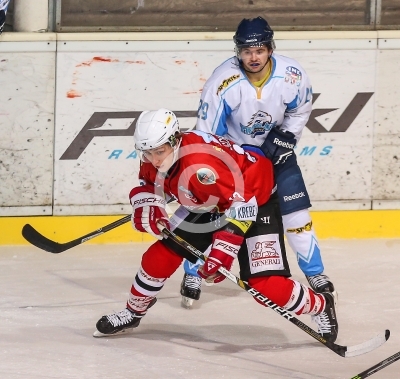 HC Steelers Kapfenberg vs. HK Triglav Kranj