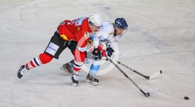 HC Steelers Kapfenberg vs. HK Triglav Kranj