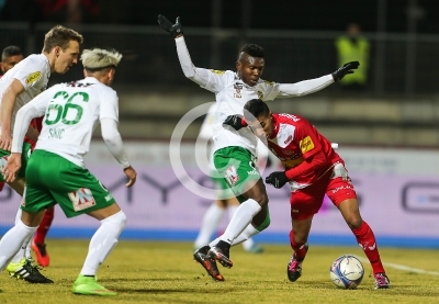 Kapfenberger SV vs. Austria Lustenau