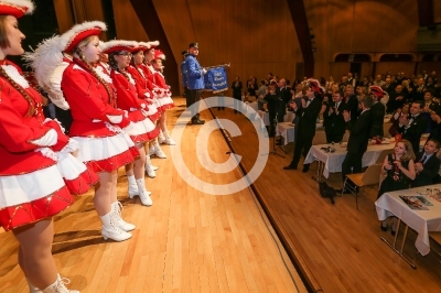 Knittelfelder Faschingssitzung 2015