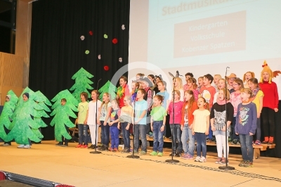 Kobenzer Benefizfasching