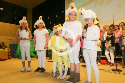 Kobenzer Benefizfasching