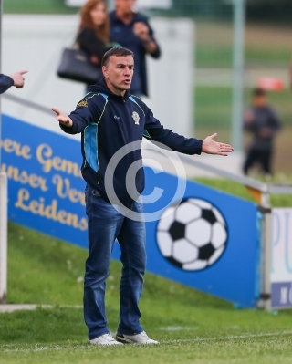 Lafnitz vs. Deutschlandsberger SC