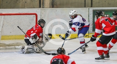 Oesterreich vs. Slowakei