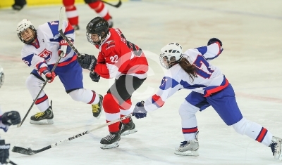 Oesterreich vs. Slowakei