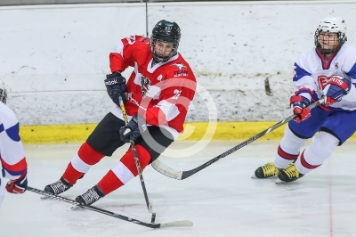 Oesterreich vs. Slowakei