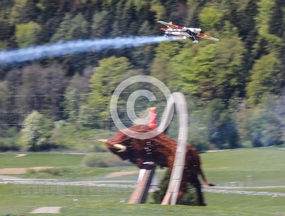 Red Bull Air Race