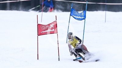 Skibob Landesmeisterschaften 2016