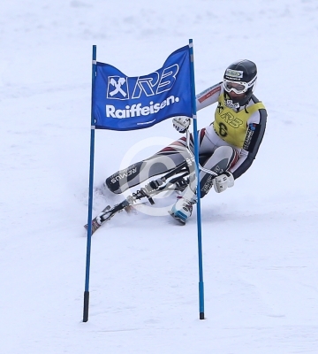 Skibob Landesmeisterschaften 2016