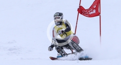 Skibob Landesmeisterschaften 2016