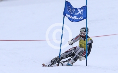 Skibob Landesmeisterschaften 2016