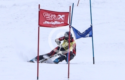 Skibob Landesmeisterschaften 2016