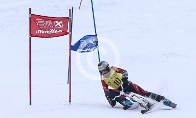 Skibob Landesmeisterschaften 2016