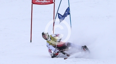 Skibob Landesmeisterschaften 2016