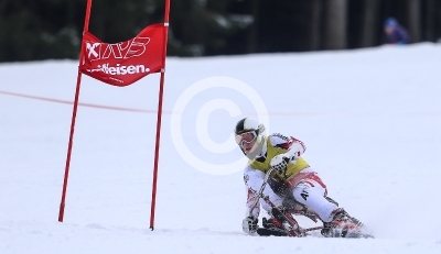 Skibob Landesmeisterschaften 2016